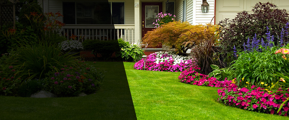 Palm Coast Landscapers