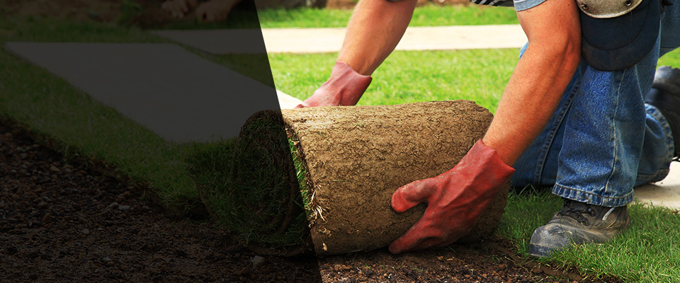 Palm Coast Landscapers